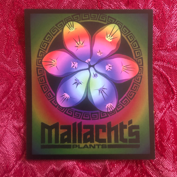 “Tie Dye” - Mallacht's Plants Sticker [3 x 3.5"] *NEW VINYL VERSION*