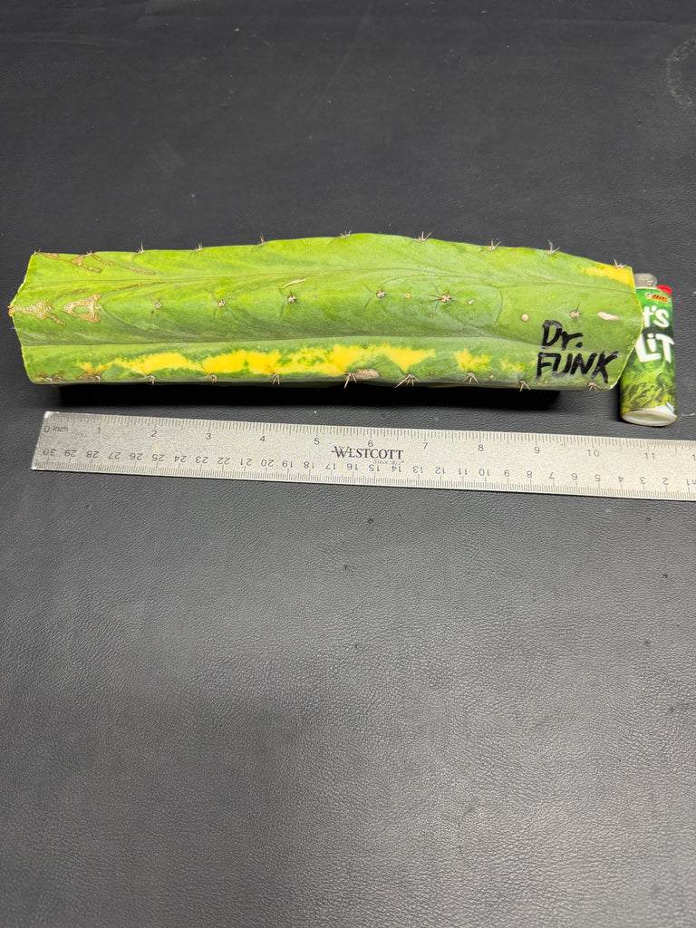 T “Dr Funkenstein" (10.5” MID Cutting)