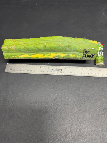 T “Dr Funkenstein" (10.5” MID Cutting)