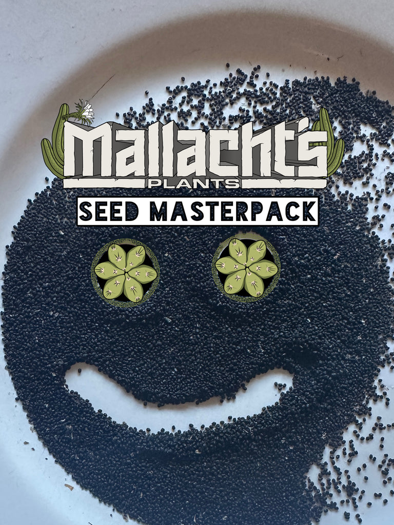 The Mallacht’s Plants 2025-26 SEED Masterpack!!!