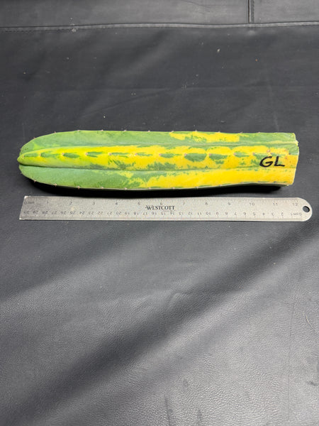 T pach "Green Leopard" [Variegated] (12" Tip Cut)