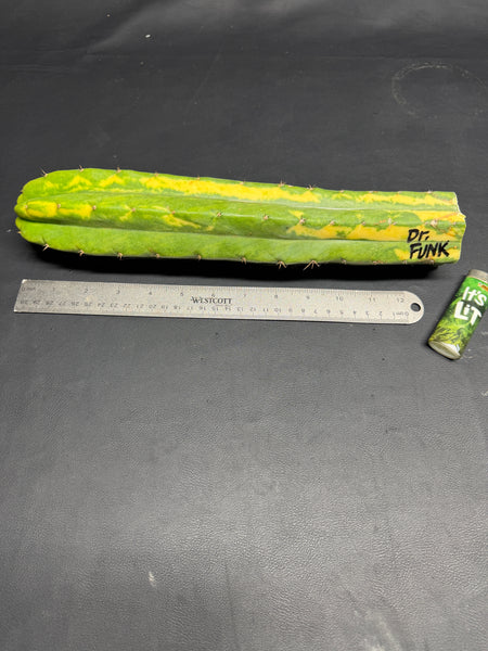 T “Dr Funkenstein" (13” Tip Cutting)