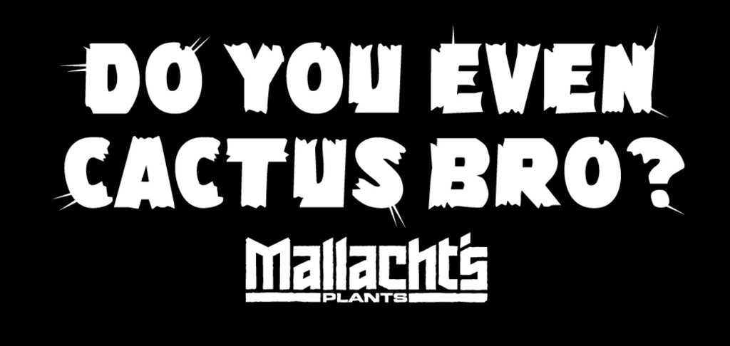 "Do You Even Cactus Bro?" - Mallacht's Plants Sticker [2" x 4"]
