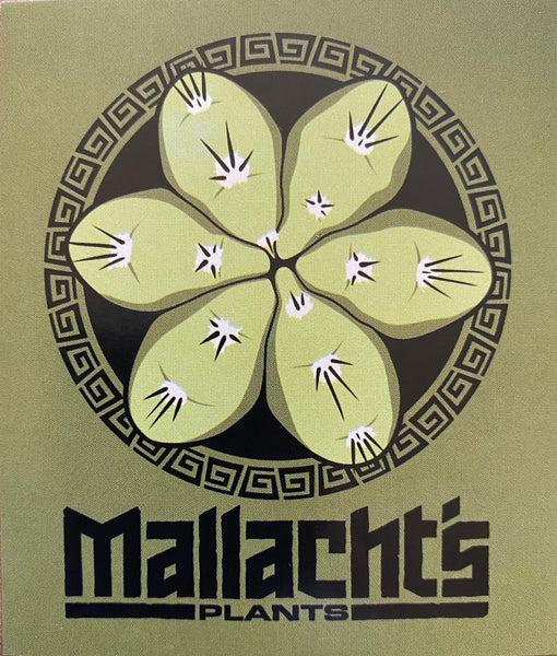 “Tricho-Top Olive Green” - Mallacht's Plants Sticker [3 x 3.5"]